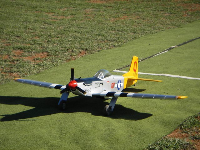 p51.jpg